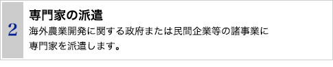 2 専門家の派遣　海外農業開発に関する政府または民間企業等の諸事業に専門家を派遣します。